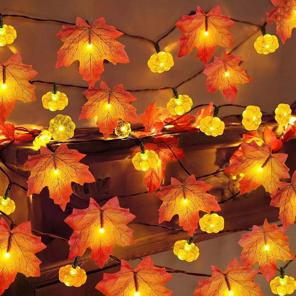 Lampki LED w kształcie liści k – Outdoor Lighting On House recenzja i cena