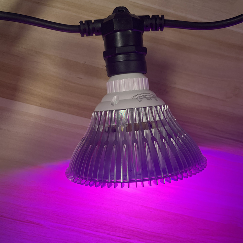 10M Kabel LED, komercyjna jako – Outdoor Lighting Cable recenzja i cena